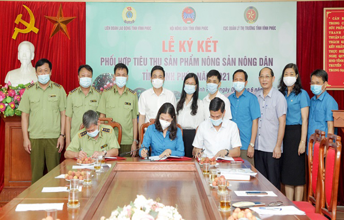 Hội Doanh nghiệp Thành phố Phúc Yên hỗ trợ mua vải thiều giúp nông dân Bắc Giang